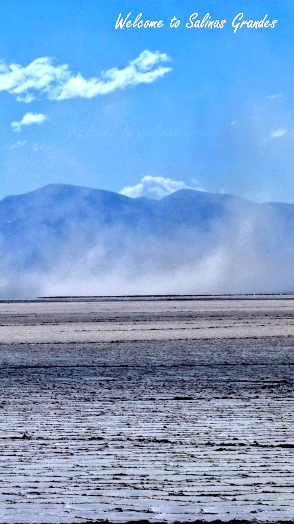 welcomesalinasg's tweet photo. Las #SalinasGrandes de #Jujuy se encuentran a 66 km de #Purmamarca, se accede por #RN52 atravesando la #CuestaDeLipan! Una ruta escénica que te va a emocionar! Se llega a los 4170 msnm y podrás apreciar #vicuñas, #llamas, #águilas y seguro al famoso #condor andino! Pudiste verlo? https://t.co/MP9O5WqrrS