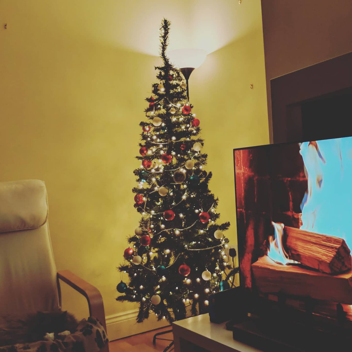 CtiaCndd's tweet photo. The time has finally come to decorate our home for the most wonderful time of the year, this year we also have a new addition to our Christmas tree and our lives. #christmas  #themostwonderfultimeoftheyear #babyontheway # https://t.co/rph7bNJxxl