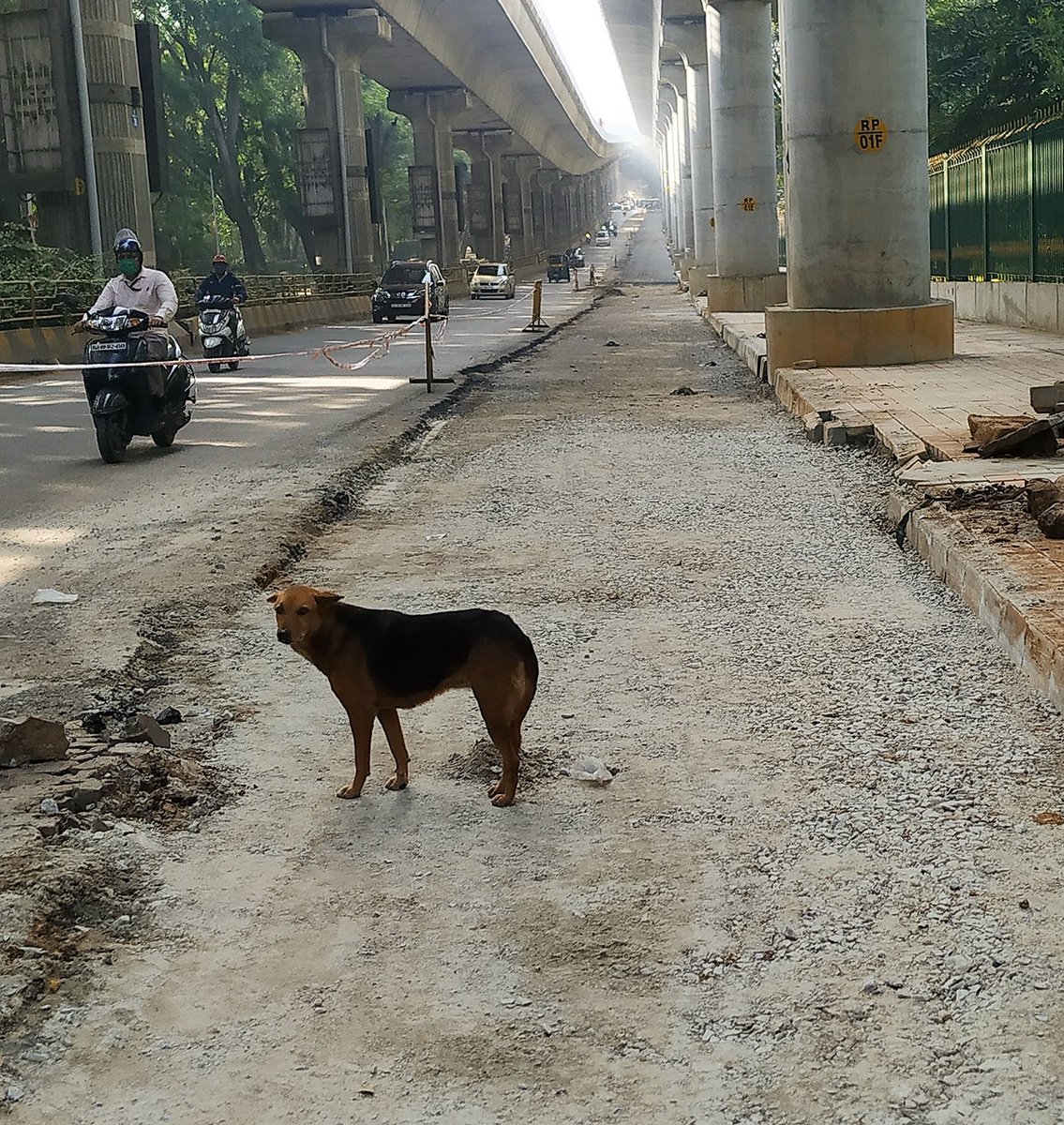 Raghavendra B Pachhapur (@rbpachhapur) on Twitter photo Thanks for listening to #cyclists & motorists plea.
Once works are completed, it will be a safe road for all.
<a href="/BBMPCOMM/">Maheshwar Rao.M, IAS</a> @cpronammametro
<a href="/KSRSA_GoK/">Karnataka State Road Safety Authority</a> <a href="/acpsouthtrf/">ACP SOUTH TRAFFIC BTP</a> @csogok <a href="/CMofKarnataka/">CM of Karnataka</a>
<a href="/blrcycleday/">Cycle Day</a> @naveenm01 @ChristinMP_TOI <a href="/SDG11_/">SDG 11</a> <a href="/urbanvoicesin/">UrbanVoices.in</a> <a href="/WRICitiesIndia/">WRI Cities India</a> <a href="/DULTBangalore/">DULT</a> Thanks for listening to #cyclists & motorists plea.
Once works are completed, it will be a safe road for all.
<a href="/BBMPCOMM/">Maheshwar Rao.M, IAS</a> @cpronammametro
<a href="/KSRSA_GoK/">Karnataka State Road Safety Authority</a> <a href="/acpsouthtrf/">ACP SOUTH TRAFFIC BTP</a> @csogok <a href="/CMofKarnataka/">CM of Karnataka</a>
<a href="/blrcycleday/">Cycle Day</a> @naveenm01 @ChristinMP_TOI <a href="/SDG11_/">SDG 11</a> <a href="/urbanvoicesin/">UrbanVoices.in</a> <a href="/WRICitiesIndia/">WRI Cities India</a> <a href="/DULTBangalore/">DULT</a>
