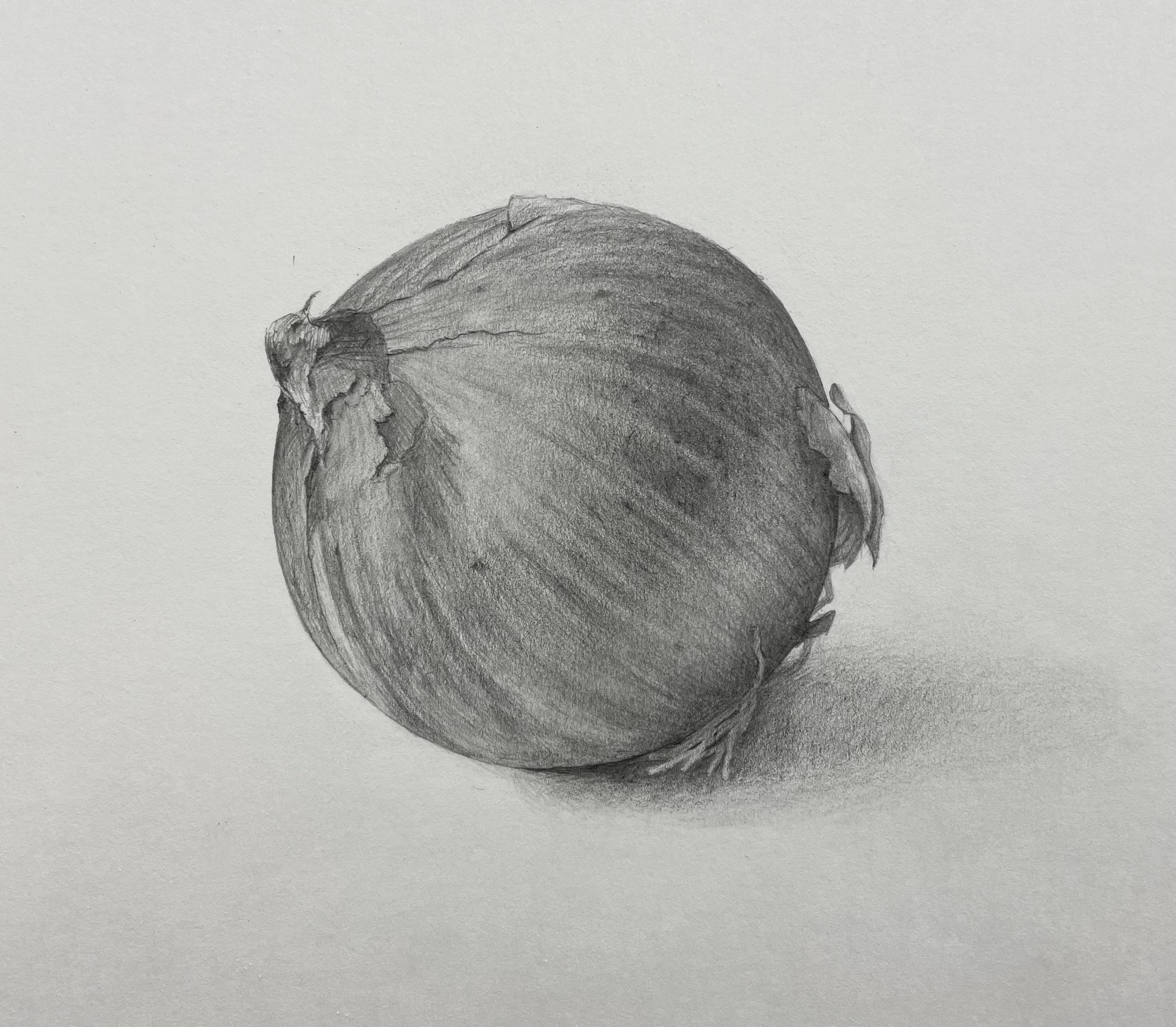 玉ねぎの鉛筆画 200【生配信】玉ねぎ end デッサン 鉛筆画 pencil drawing - YouTube