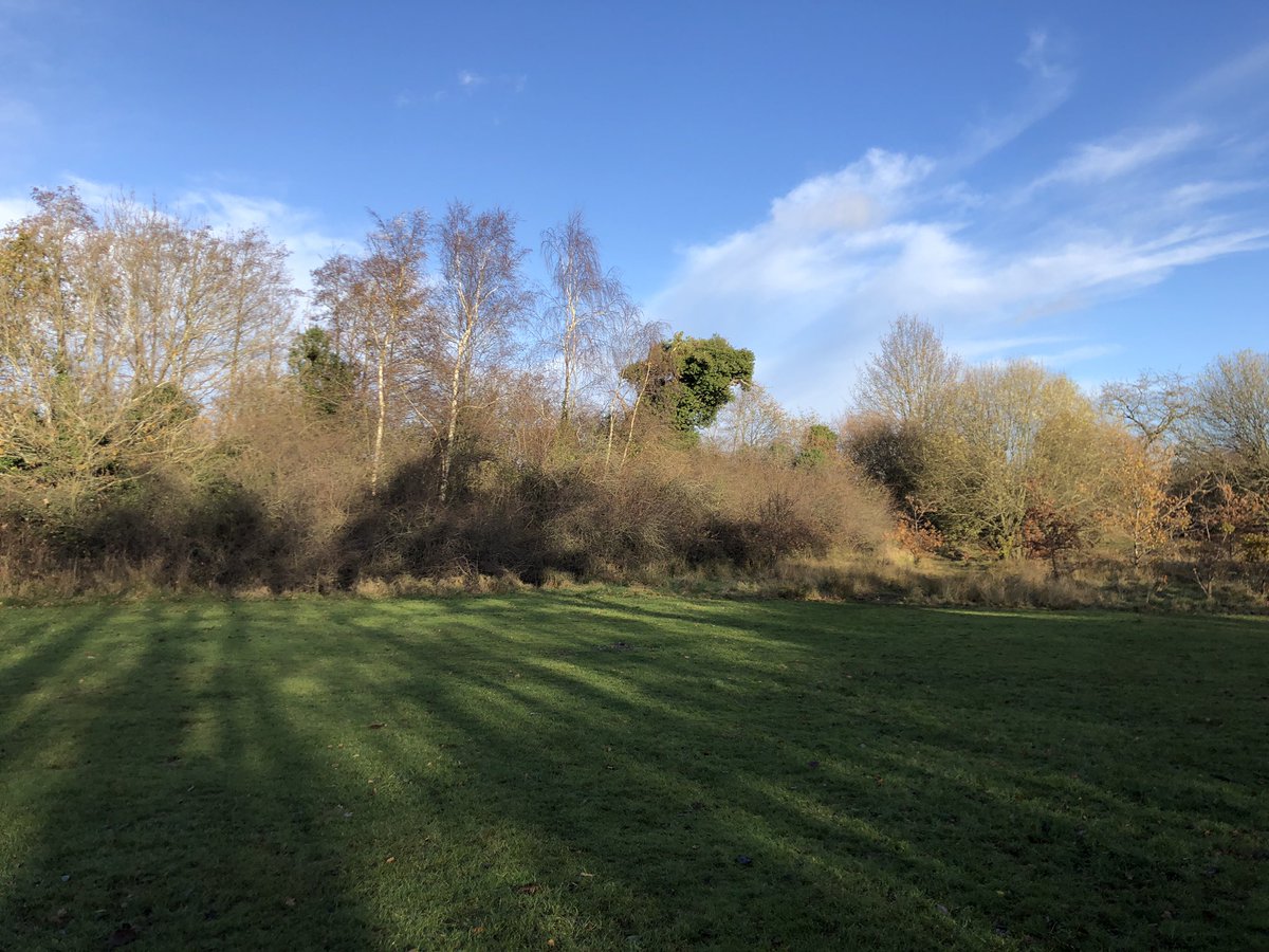 Had a really lovely time singing Christmassy early baroque stuff with a workshop on Schütz’s Weihnachtshistorie with the Midlands Early Music Forum today! Had a bit of good weather as well, couldn’t resist a wander around 🌲🌲