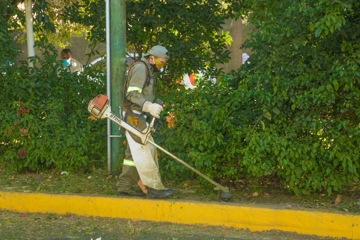 Alcaldía Álvaro Obregón tweet media