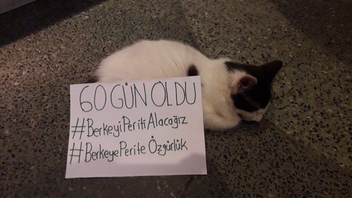 Naci İnci'nin şikayetiyle tutuklanan Berke ve Perit 60 gündür tutsak. Arkadaşlarımızla beraber gezeceğimiz müzeler, seveceğimiz kediler var. Bu hukuksuzluğa son verilmesini ve arkadaşlarımızın özgür kalmasını istiyoruz. #BerkeyePeriteÖzgürlük 
#BerkeyiPeritiAlacağız