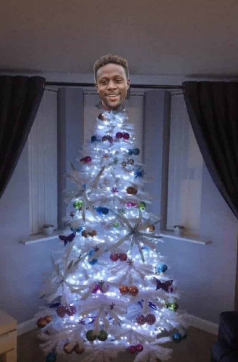 🎄👌