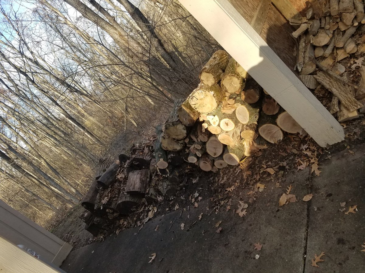 Sayles227's tweet photo. Fun Friday afternoon working in the school forest! Time to do some planning for the 1840s cabin I forgot to take a picture of. Or, maybe some a concert on the prairie deck? https://t.co/ak3kak2ON9