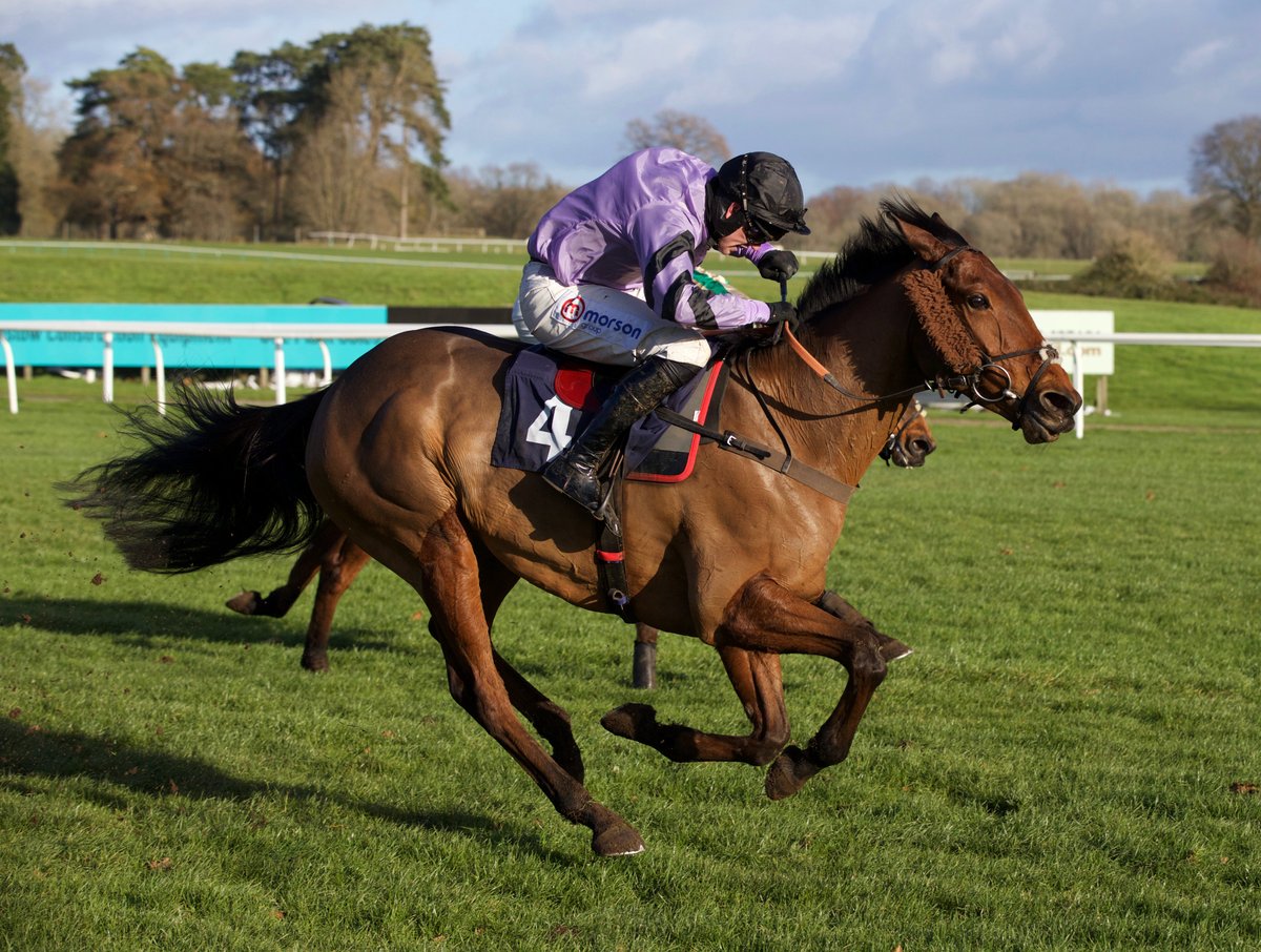 Chepstow_Racing's tweet photo. RACE 3 RESULT – Martyn &amp; Orsi Support The Injured Jockeys Fund Conditional Jockeys' Handicap Hurdle

🥇 Take Your Time
🥈 Dell' Arca
🥉 Flashjack 

Jockey: Lorcan Williams

Trainer: @PFNicholls

Owners: Owners Group 060 https://t.co/H5Jgba0qyF