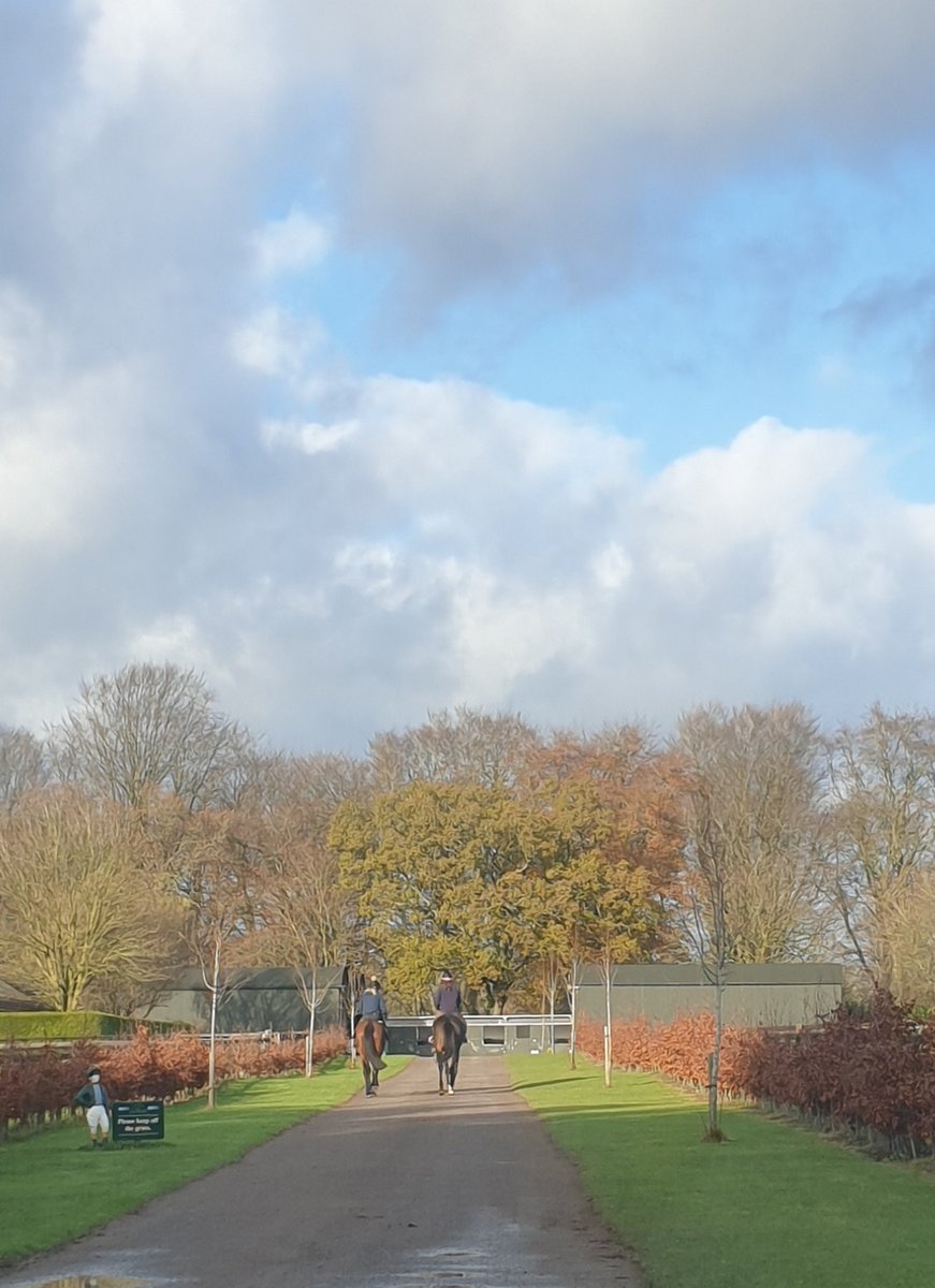 Gorgeous morning at <a href="/Neil_Mulholland/">Neil Mulholland</a> Racing ☀