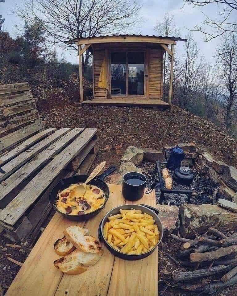 anilbhatortho's tweet photo. If you have to replace the dishes what would it be in this setting ? https://t.co/MqUYjPEIlc