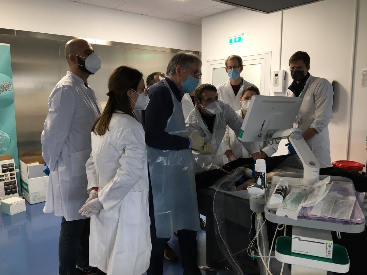 ESRA_Society's tweet photo. Time for Soft Embalmed Cadaveric Hands-on scanning &amp; needling session #Witten21 #Interscalene #Supraclavicular #CervicalPlexus https://t.co/ABx1DUEtdh