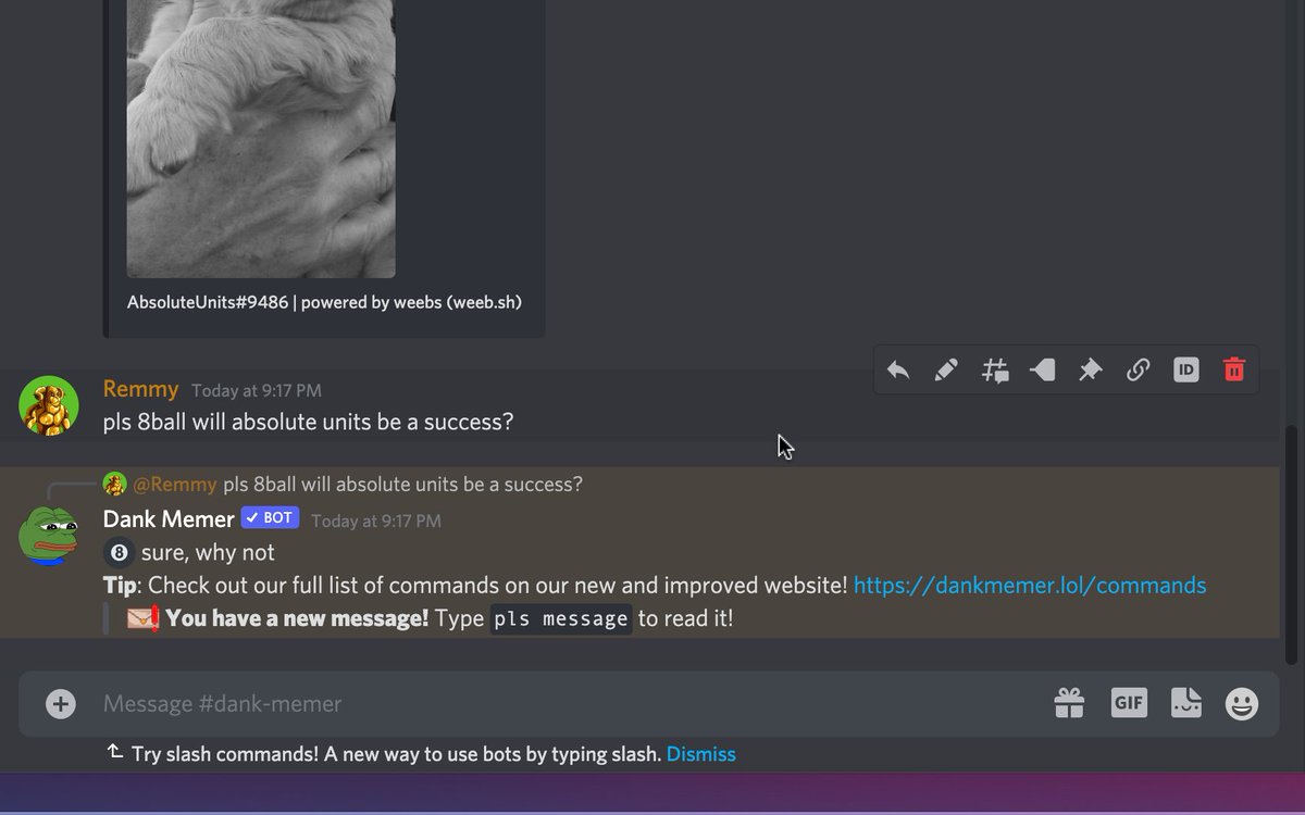 Guys I added Dank Memer to the discord server and he is already a supporter of the Project😁

#CNFTs #CNFTCommunity #DiscordServer #NFT #NFTCommunity #Absoluteunits