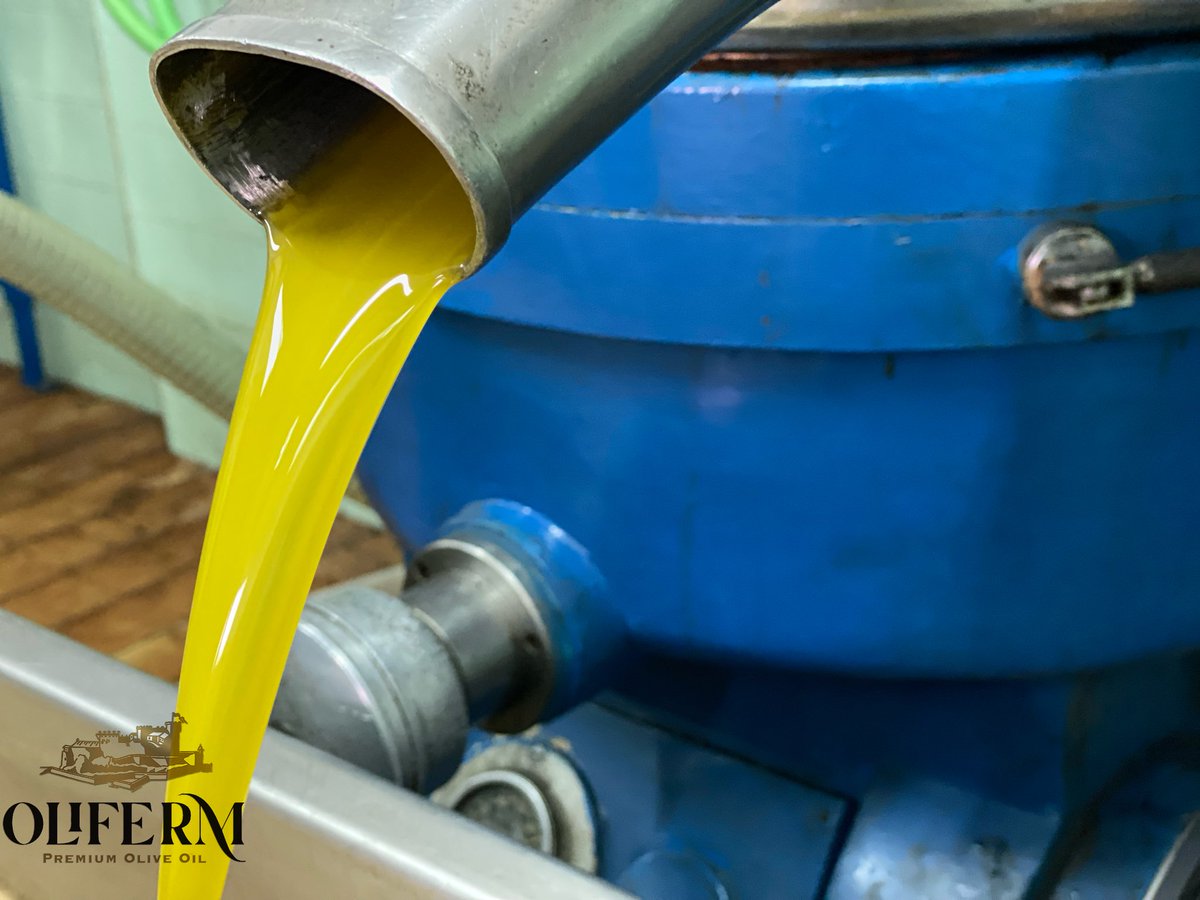 L’oli nou ja raja!! 
La nostra cooperativa està en plena producció de l’oli de la nova campanya!!
Aprofita aquests dies per comprar l’oli del raig abans que s’acabi!!

...
#Castelldans #Oliferm #lesGarrigues #AOVE #OOVE #Culturadeloli #OliOlivaVergeExtra #AceiteOlivaVirgenExtra