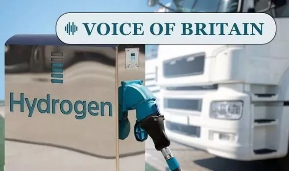 WarWithTheDinos's tweet photo. In a poll of 4,656 people in Nov., 78% of voters said Britain should forget about switching to electricity &amp; back hydrogen power as the UK’s main power source. 

69% opted for a #hydrogen car over buying an electric car, only six percent would buy an EV.

https://t.co/OIYDTaLjIP https://t.co/9hMFaCs6uH
