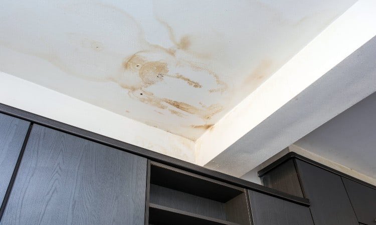 Have a problem similar to this? Do not hesitate to contact Crow Quotes for help.
crownquotes.co.uk 
☎️0203 432 3835 
#crownquotes #property #ceiling #damp #leak