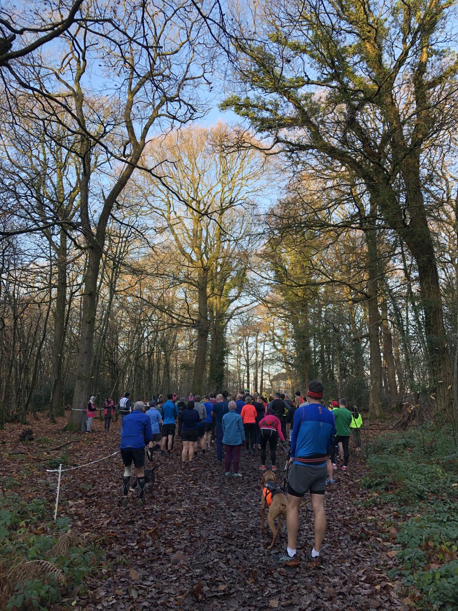 Fiona Dean 🕷💚 tweet media