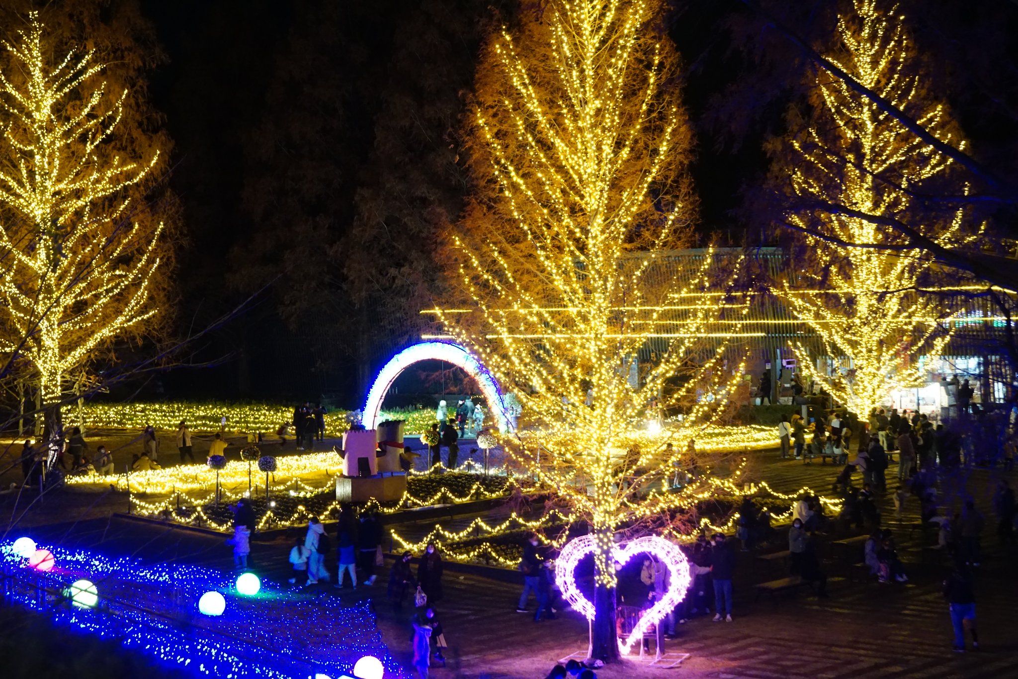 Hiroyuki Miyata 国営武蔵丘陵森林公園 21年12月03日 スターライトイルミネーション 光と森のstory ライトアップ 紅葉 国営武蔵丘陵森林公園 森林公園 彩の国 埼玉県 埼玉 T Co Mentoxbfri Twitter