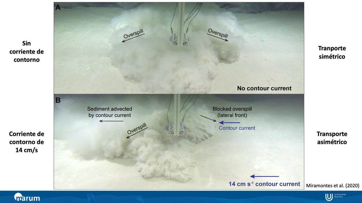 batidivulga's tweet photo. Amazing week in my #Marine #Sedimentary #Enviroments class.

We studied the distal continental margins, starting with deep-sea fans and #turbiditycurrents and ending with the great talk of @elda_miramontes (@marum_de) about #contournites and the interaction with other processes. https://t.co/VfV07updcD