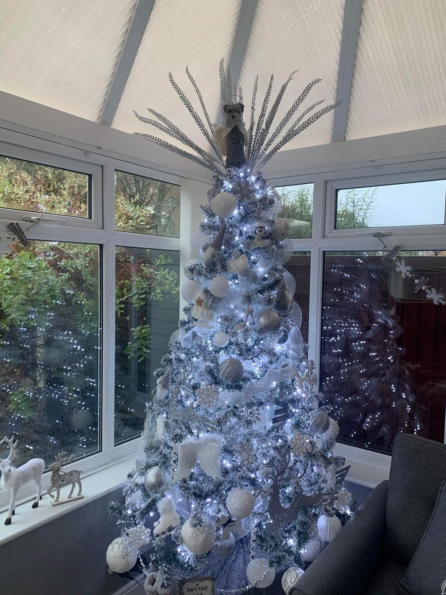 MakesMavis's tweet photo. I love seeing the tree toppers in situ in their new homes! Order book open for next year! (UK postage only) details and order form https://t.co/7QR0shdlKR  #schnauzer #christmasdecs #needlefelting https://t.co/wwZOQeOkfr