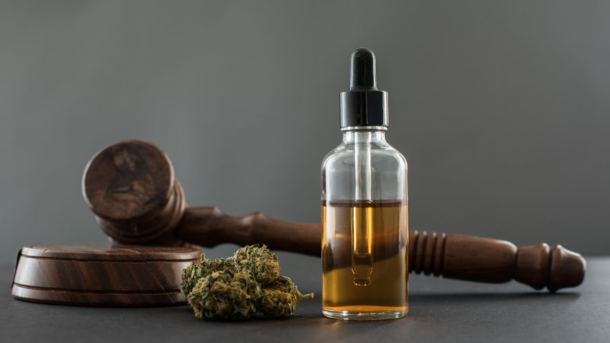 CBDLearningBase's tweet image. Tax revenues from marijuana sales in California are only around one-third of the initial expectations. The proposed States Reform Act would create more opportunities in the Marijuana market in California.
bit.ly/3ptZ5cL

#CBD #CannabisLegal #cannabisculture #cannabisnews