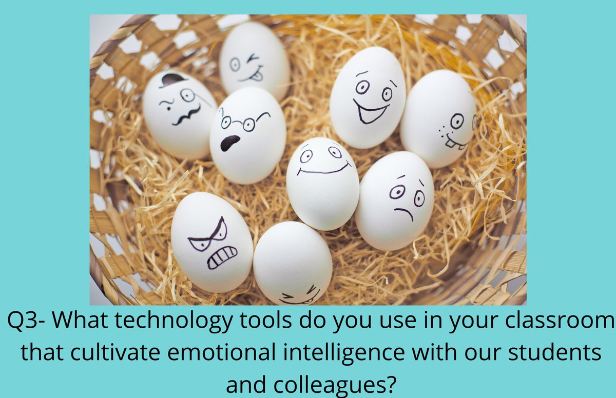 3rd Grade Teacher tweet media