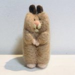 コストコの込み具合がどのくらいだったのか、このぬいぐるみを見れば一目瞭然!