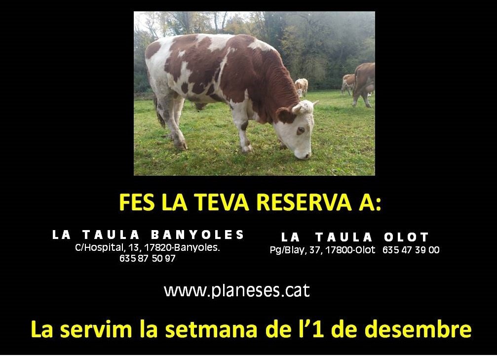 nuriaserrat's tweet photo. A punt per tastar el bou. Si surt tan bo com el pollastre de pastura, festa grossa 😋🎉! A @planeses tenen un projecte interesentissim. Ara trobem la seva carn a #Olot, a La Taula, al capdamunt del Firal. Descobriu-ho!
#agriculturaregenerativa #gentmaca #sobiraniaalimentaria https://t.co/RPRmJzQBi9