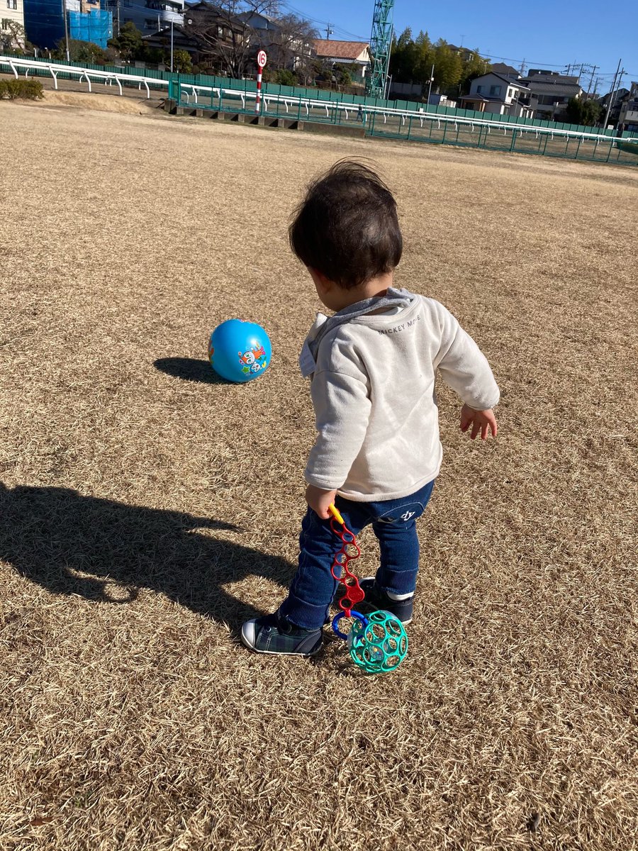 オーボールはいつから遊ぶ 握る いつまで使えるか 何がいいのかも紹介 トイペディア おもちゃサブスクで知育