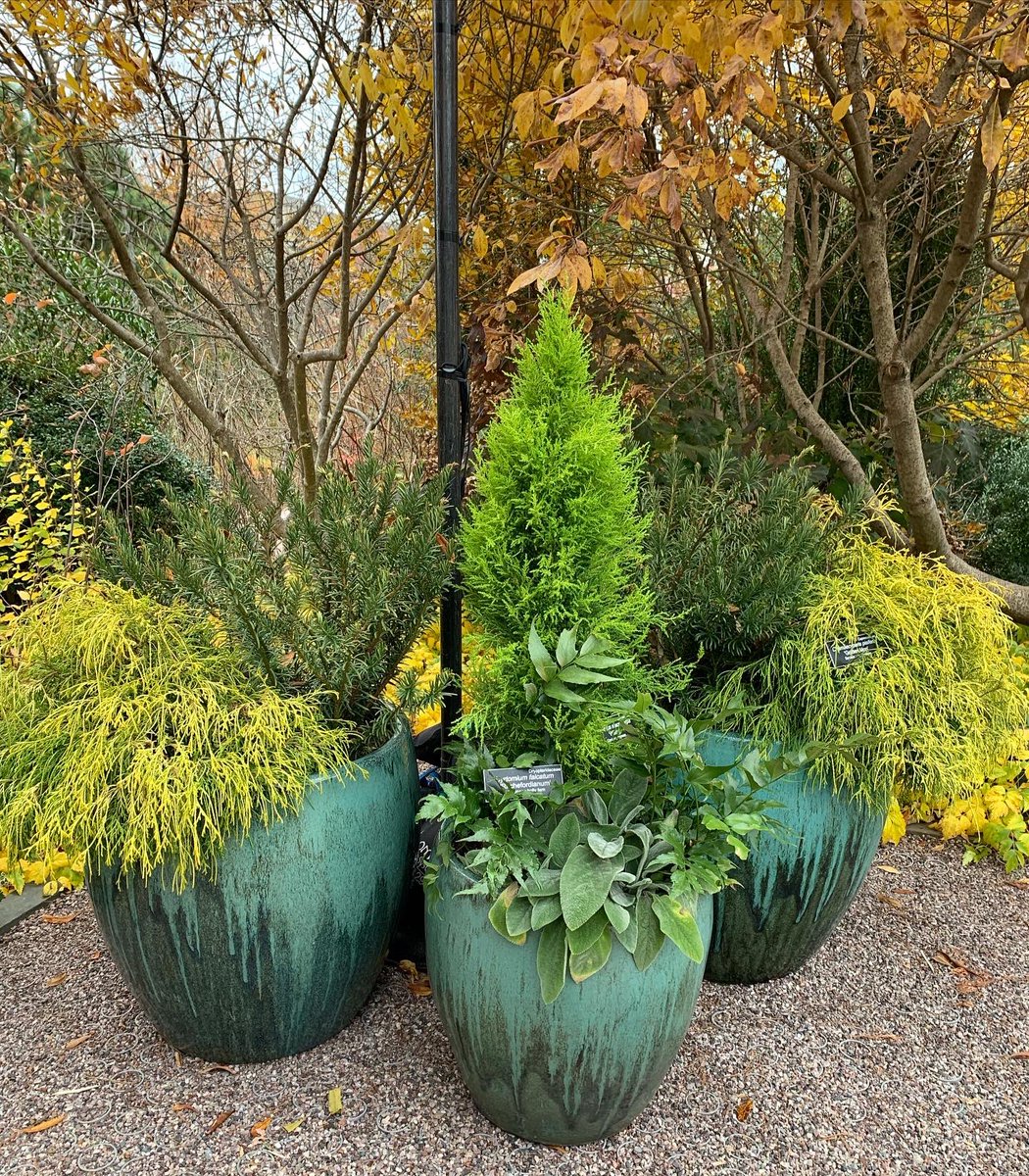 WDCGardener's tweet photo. A few of the Gorgeous fall/winter containers at the @USBotanicGarden #gardendc #dc #dmv #containergardening #urbangarden #wintercontainers https://t.co/V08p03PeMg
