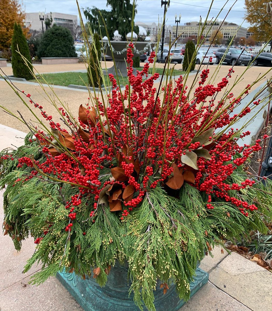 WDCGardener's tweet photo. A few of the Gorgeous fall/winter containers at the @USBotanicGarden #gardendc #dc #dmv #containergardening #urbangarden #wintercontainers https://t.co/V08p03PeMg