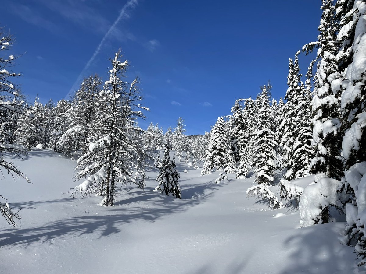 Welcome winter ❄️ #HealyPass #Alberta #Canada