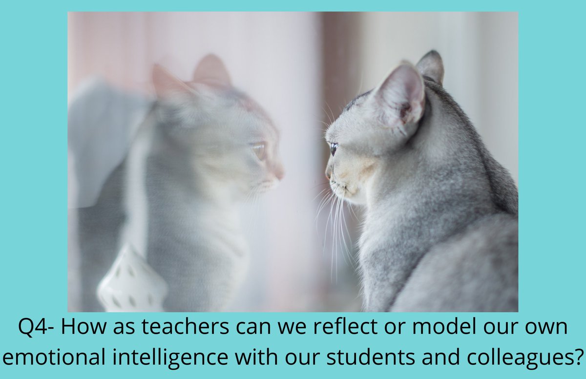 3rd Grade Teacher tweet media