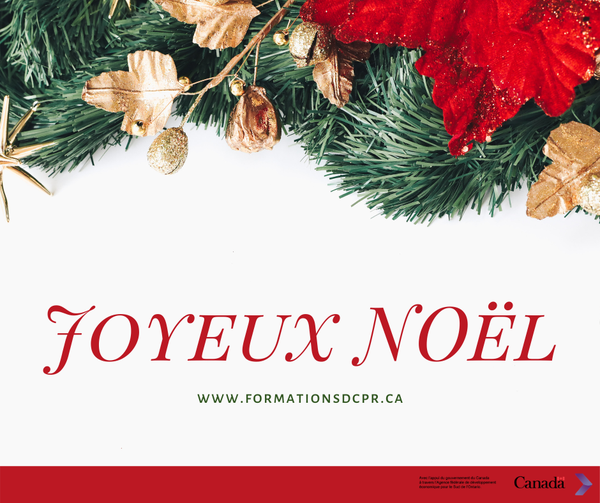 Le programme d'entrepreneuriat féminin vous souhaite Joyeux Noël🌲❄

formationsdcpr.ca