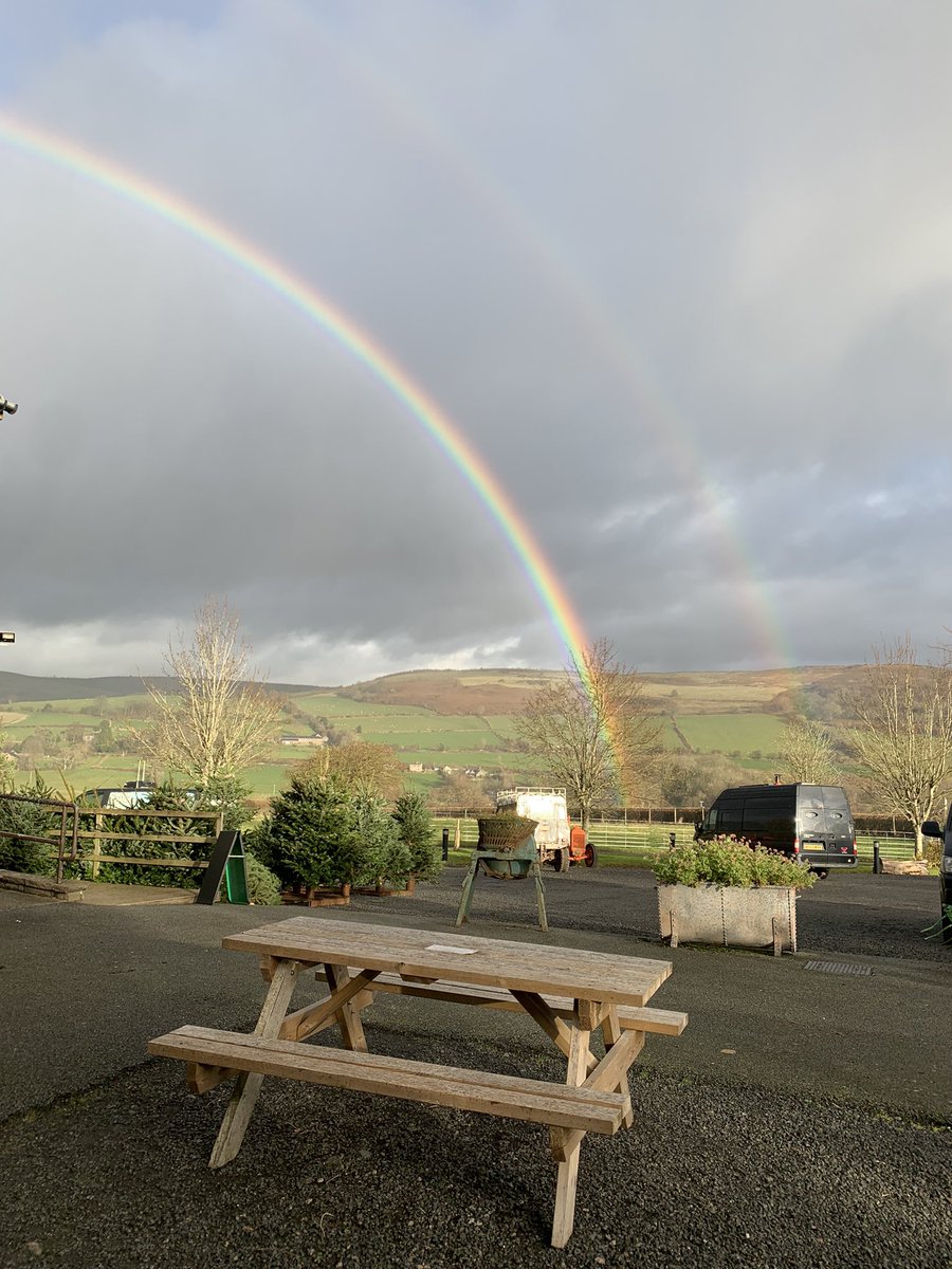 wendyhillier tweet media