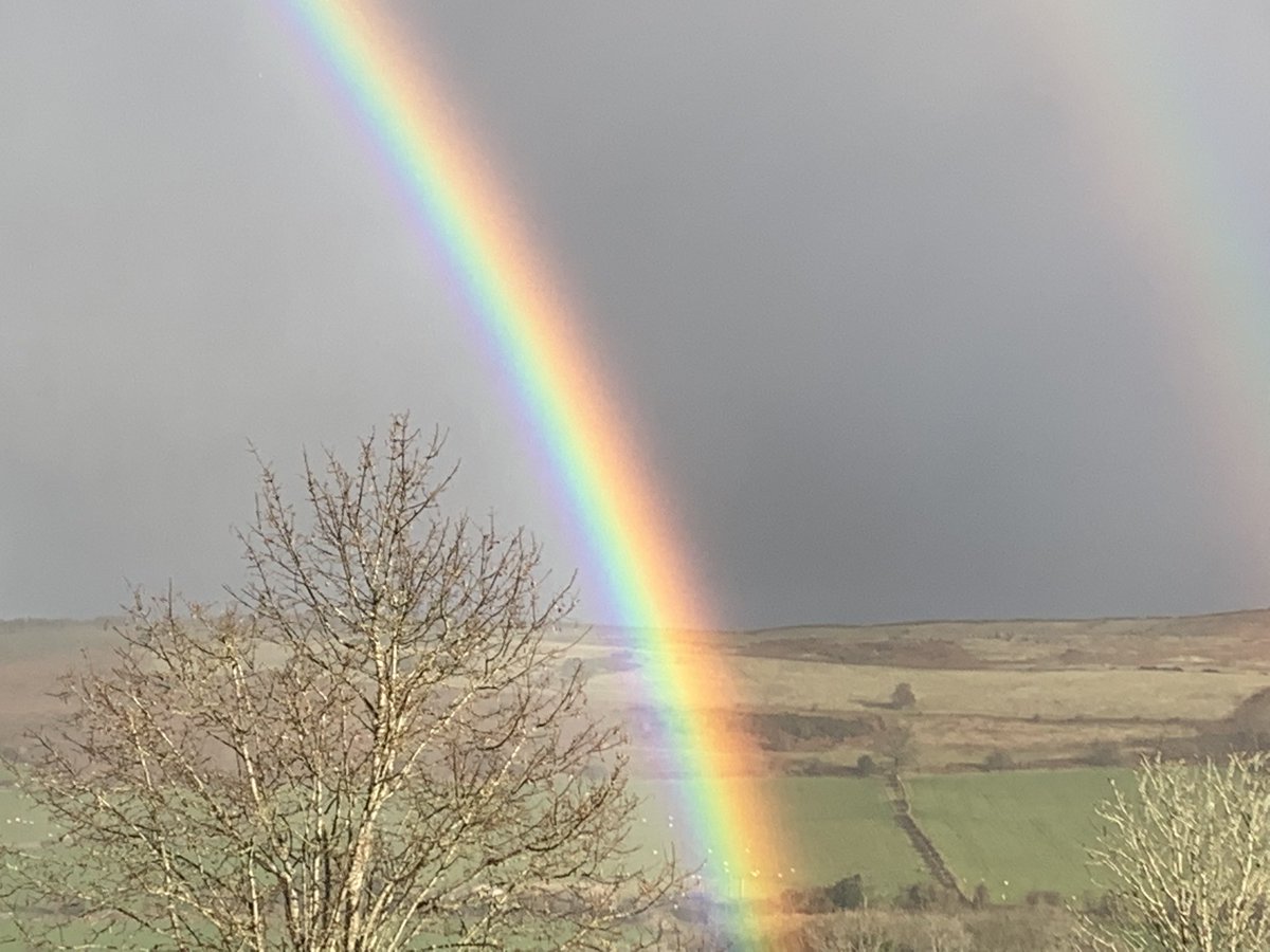 wendyhillier tweet media