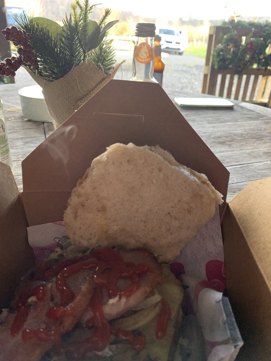 Venison burger lunch view 🌈🍔at <a href="/WelshVenison/">Welsh Venison Centre</a>