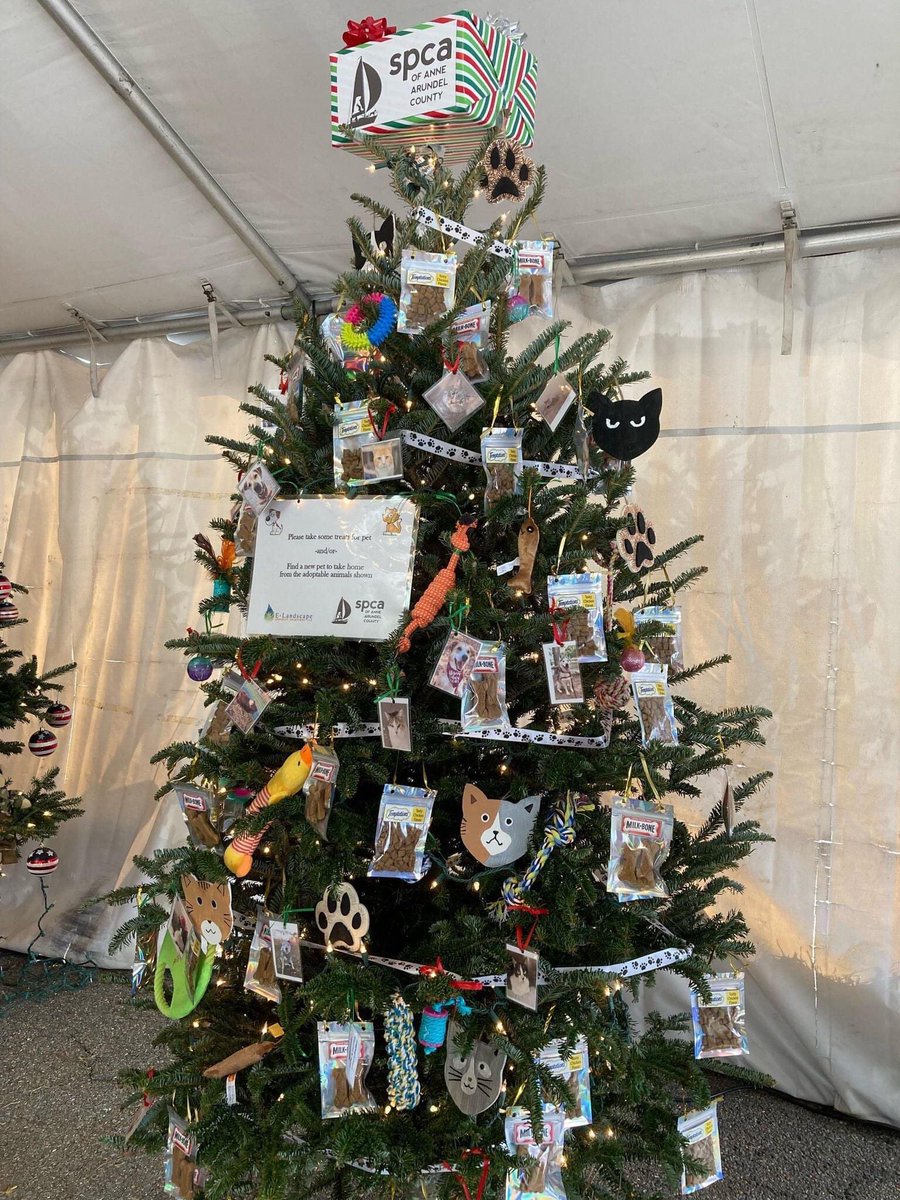 SPCA of Anne Arundel tweet media