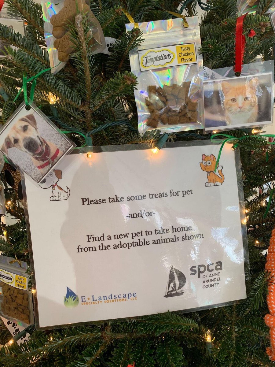 SPCA of Anne Arundel tweet media