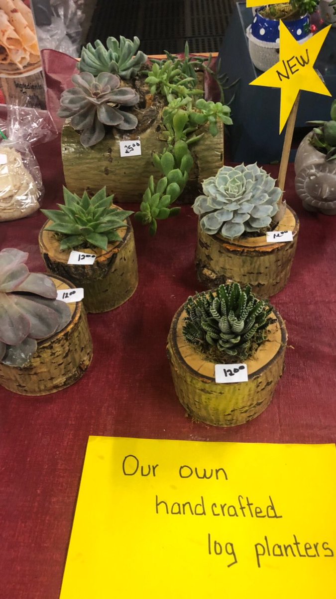 Maplewood Acres tweet media