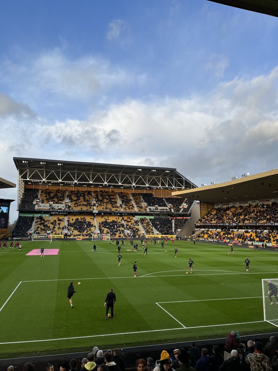 #wolliv #coyw