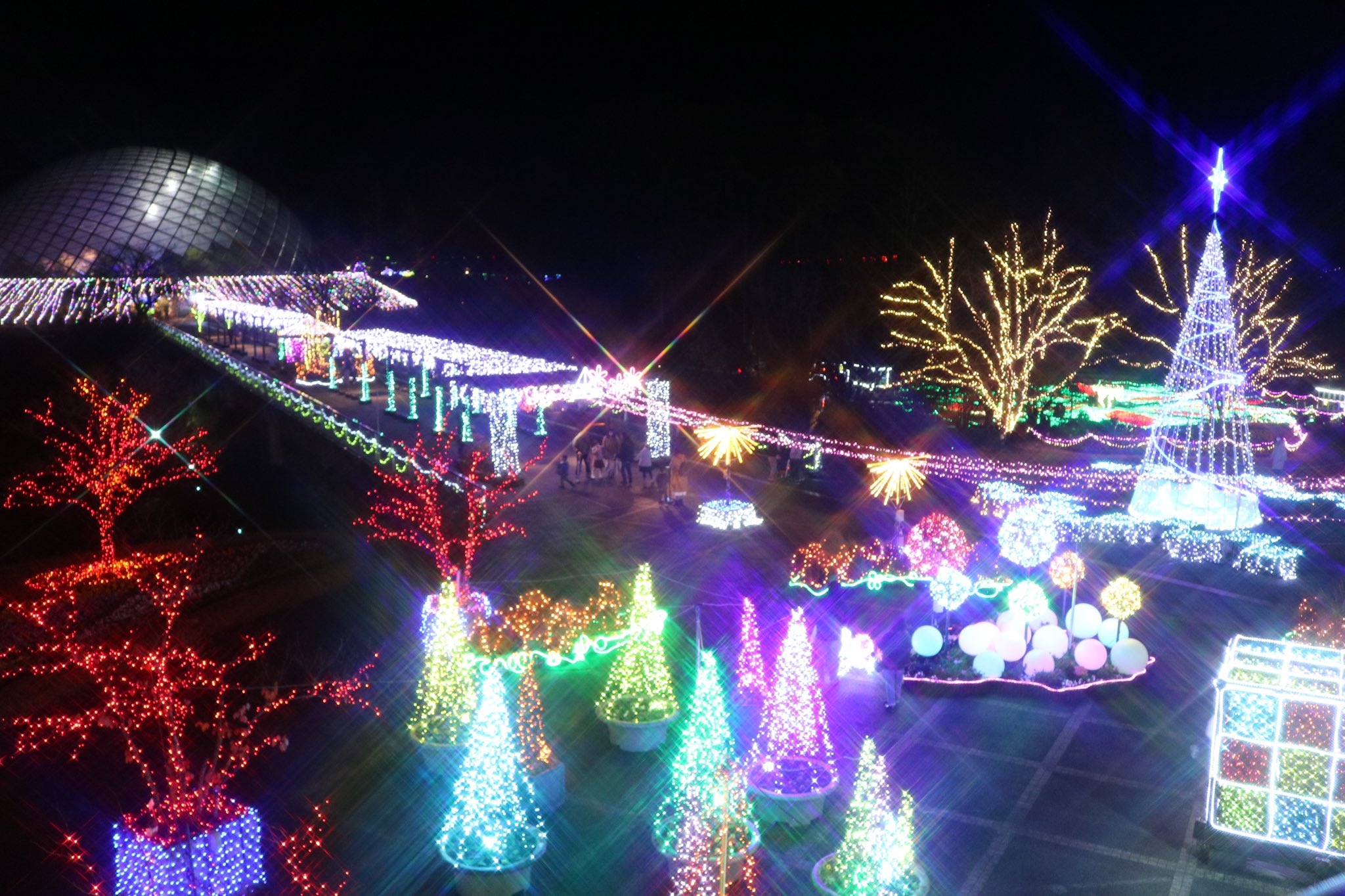 ポンジ先輩 とっとり花回廊 イルミネーション クロスフィルター使いました 電飾の木 とっとり花回廊 T Co Udwhzhpsjt Twitter ポンジ先輩 とっとり花回廊 イルミネーション クロスフィルター使いました 電飾の木 とっとり花回廊 T Co Udwhzhpsjt Twitter