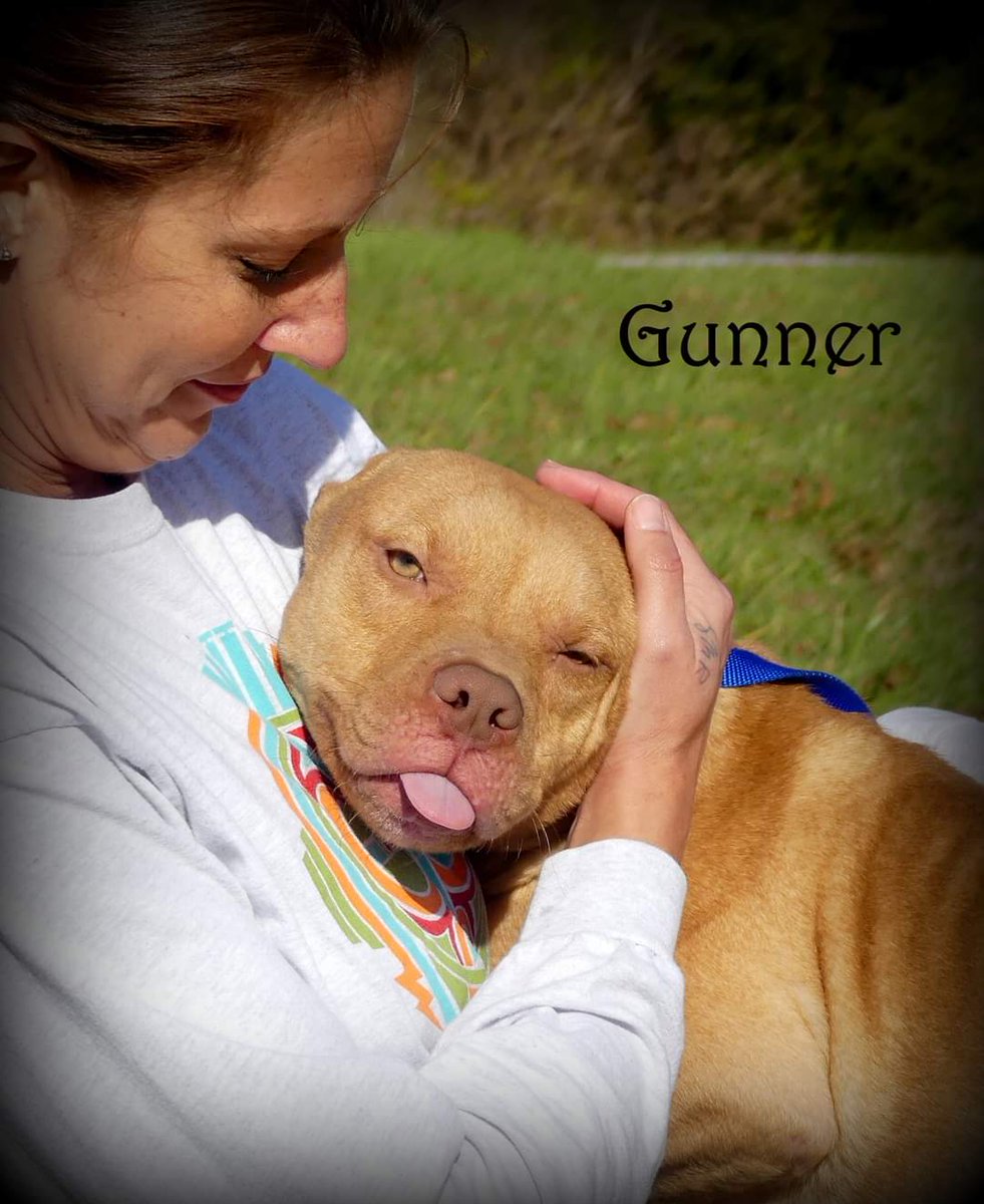 CPR Dogs tweet media