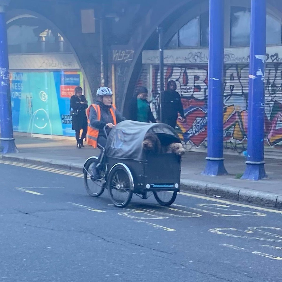 DOG WAT I SAW tweet media