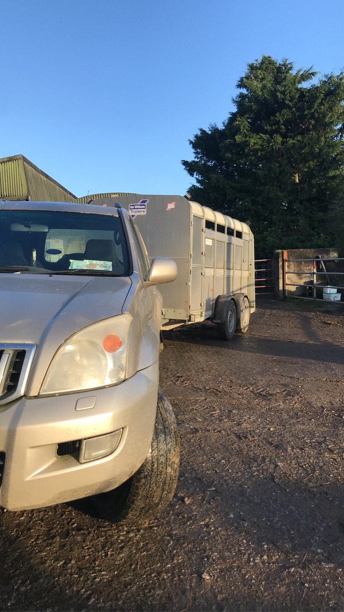 Kilsunny_Herd's tweet photo. The last bull delivery of 2021? We’ll have to wait and see 😎
#anotheronesold #fortyplusandcounting https://t.co/qHVI26jxH5