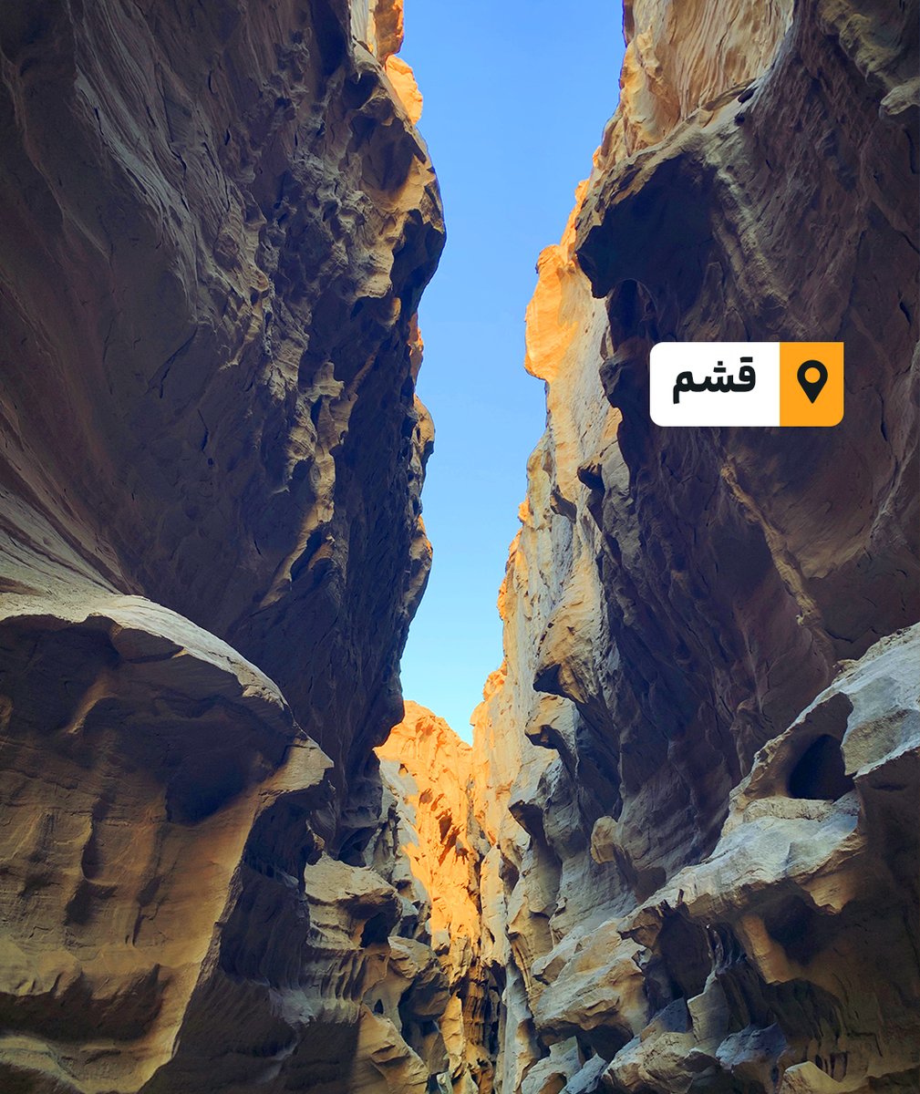 JabamaIr's tweet photo. جنوب گردی از تو، جاباما

این توییت رو کوت کن و بگو اگه بخوای بری جنوب، کدوم یکی از این شهرها رو دوس داری بری؟

🏖️قشم، هنگام، کیش یا بوشهر🏝️

🎉به قید قرعه، هدیه ما به ۳ برنده، ۳ شب اقامت رایگان به خودش و ۳ همراهش تو شهر مورد علاقه‌اشه🎉 https://t.co/I1OQ36hPbN