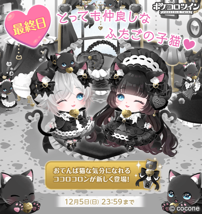 😭本日最終日😭】 福袋「♡Sweet Twin Kittens♡」は本日最終日！ お