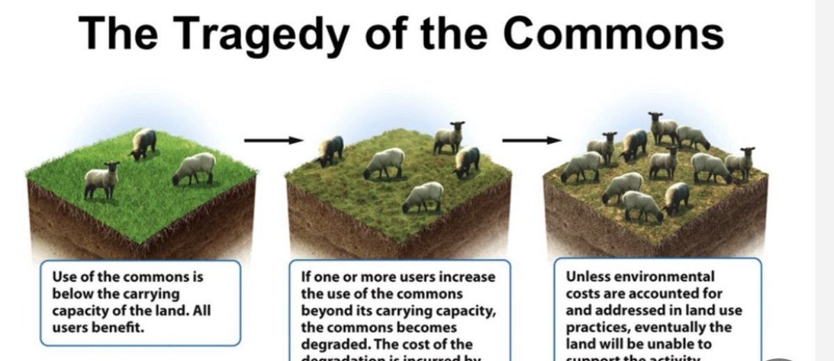 CoinTreez's tweet image. Replace hope with social media posts. Replacing work “chains” with blockchains. “Proletarians of the world unite” AGAIN!
#organize #identifyleaders #startthespread #crypto #bitcoin #doge #dogecoin #shib #shiba #shibainu #powertothepeople