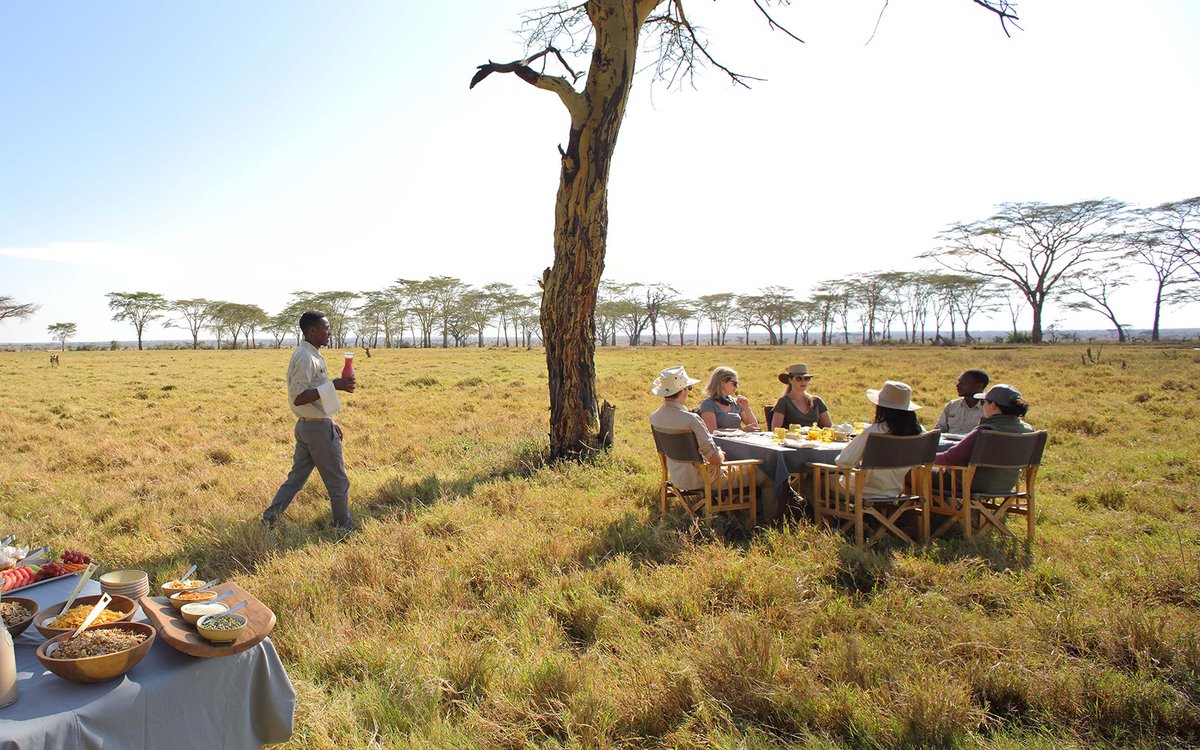 Following a 20-year closure to visitors for research, the verdant grasslands of the eastern Serengeti teem with wildlife and the cheetah population has flourished. At #namiriplains in Tanzania, you can join the local cheetah research team.
#SaveTheCheetah #ThisIsAfricaExclusive