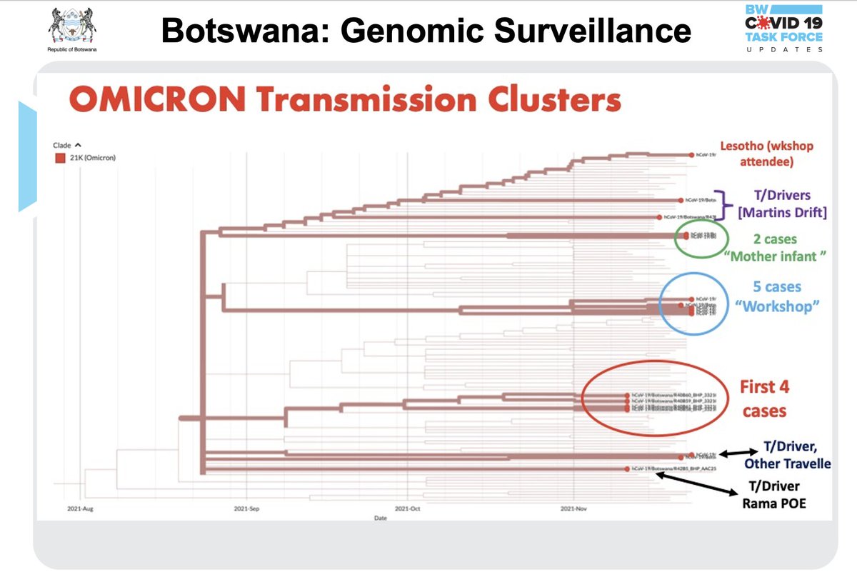 A study of #omicron clusters in #Botswana suggests the variant is at least 2 months old, and could have emerged "somewhere in the world" as early as September. (SA scientists confirm similar pattern with Beta).