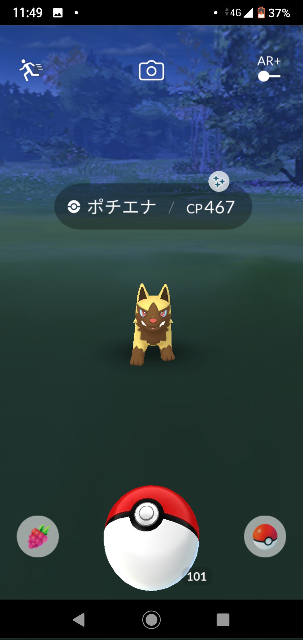 ポチエナ色違い Twitter Search Twitter