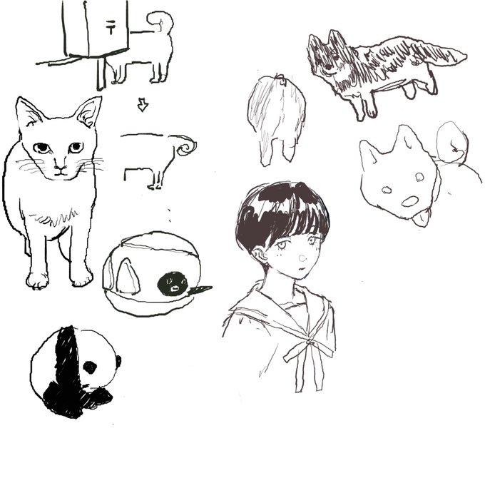 がはまさんと絵チャしました🦭 