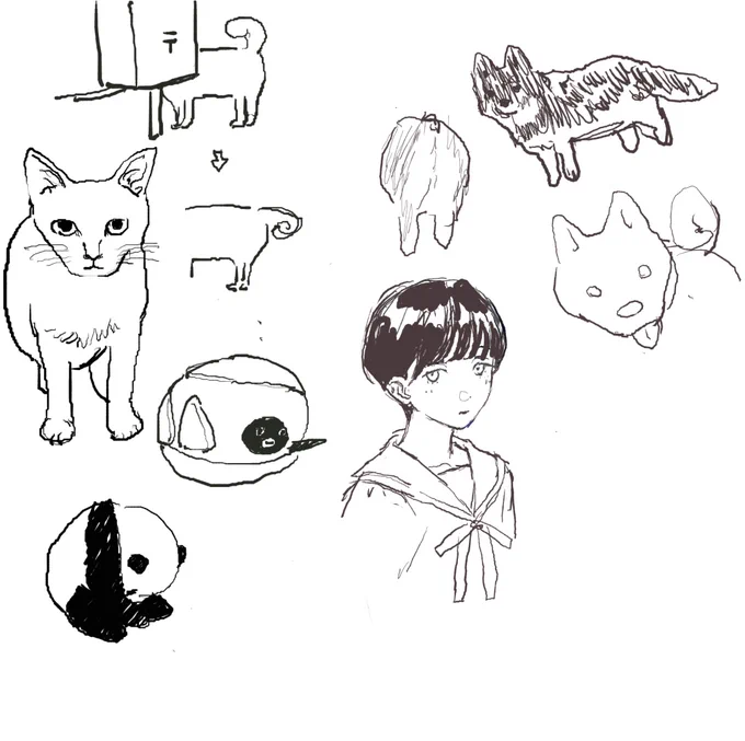 がはまさんと絵チャしました🦭 